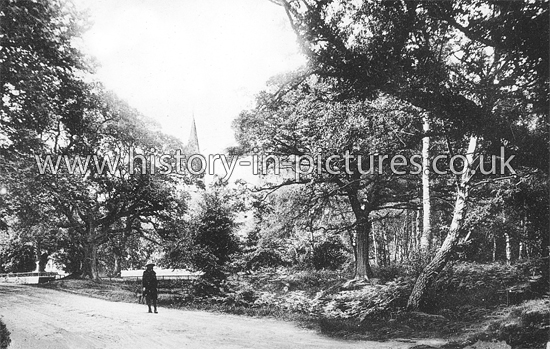 The Church of Holy Innocents and Country Lane, High Beech, Essex. c.1920's